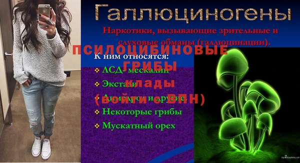 дмт Алзамай