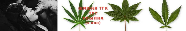 дмт Алзамай