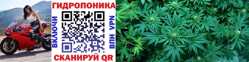 магазин продажи   Кораблино  Конопля AK-47 
